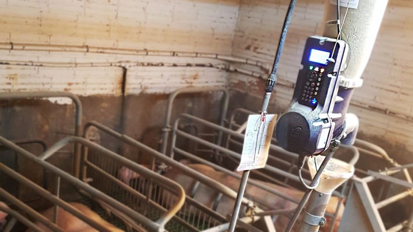 Fot. 2. System elektroniczny do karmienia na mokro.
