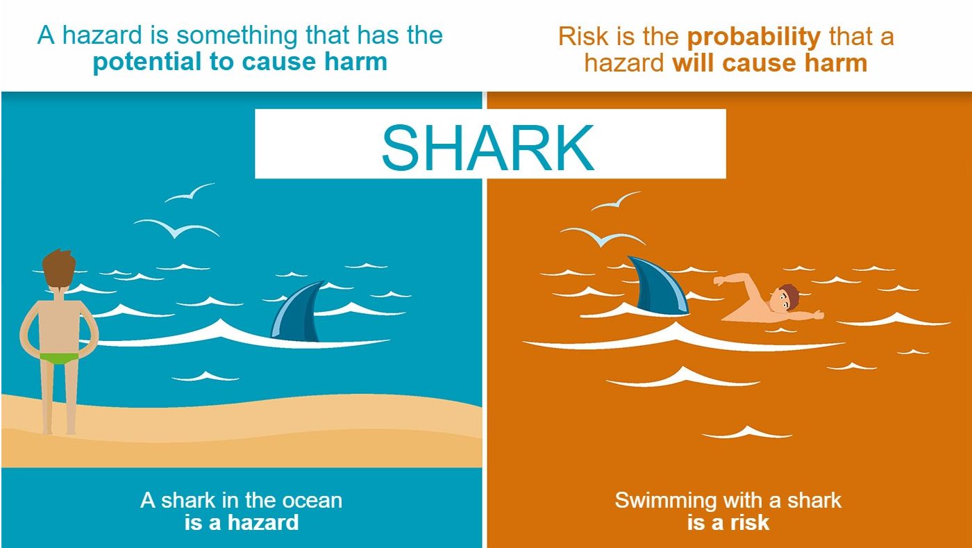 Ryc.1. R&oacute;żnica między zagrożeniem a ryzykiem

&nbsp;

&nbsp;
