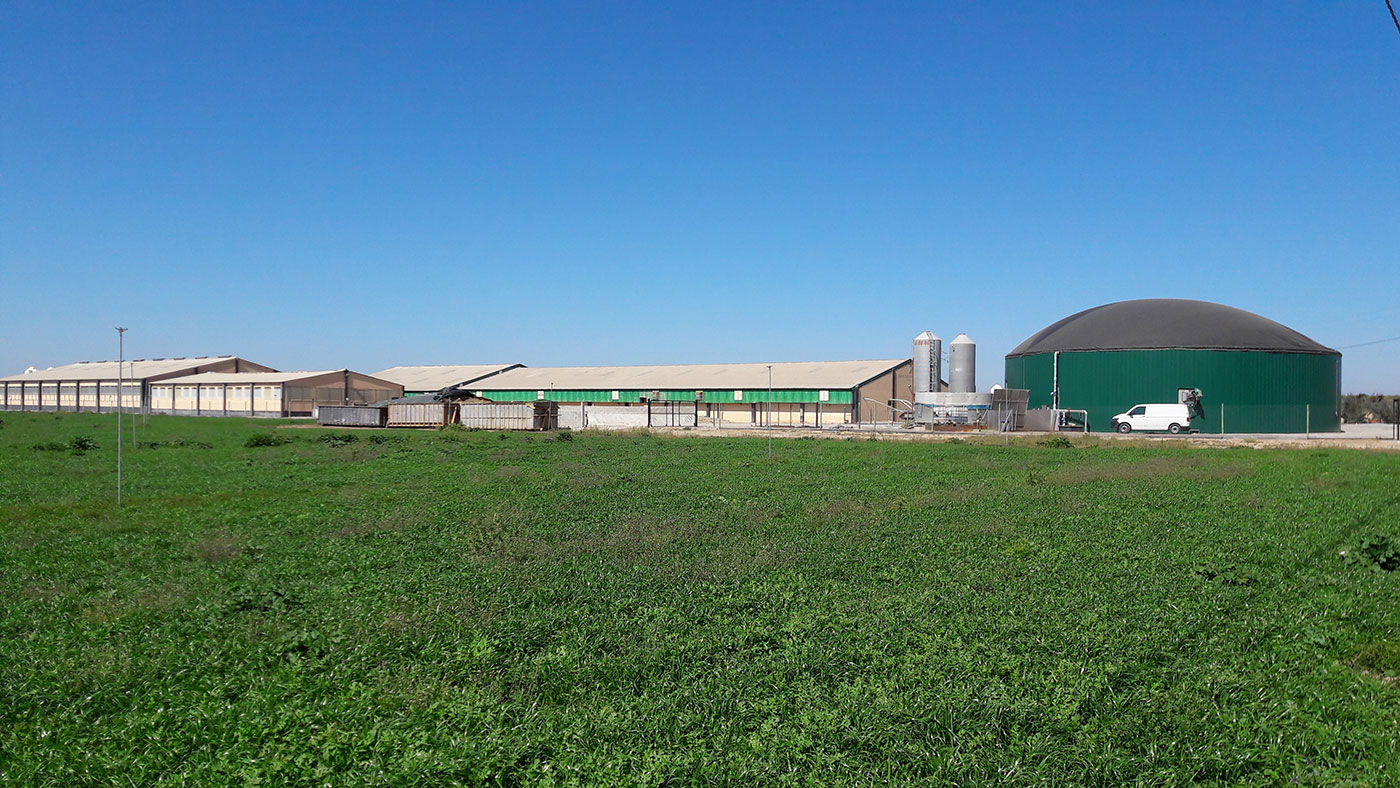 Fot.2: Ferma trzody chlewnej w regionie Segri&aacute; (Lleida, Hiszpania) produkująca biogaz na użytek własny wykorzystywany do wytwarzania energii cieplnej i elektrycznej.&nbsp;
