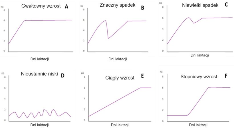 Rysunek 1. Schematy pobierania paszy przez lochy w laktacji, opisane przez Koketsu i in. (1996a). A) gwałtowny wzrost spożycia paszy; B) znaczny spadek spożycia paszy; C) niewielki spadek; D) niskie spożycie paszy przez cały okres laktacji; E) niskie spożycie paszy w pierwszym tygodniu laktacji i ciągły wzrost spożycia paszy przez resztę okresu laktacji; F) stopniowy wzrost spożycia paszy.
