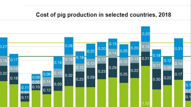 Koszt produkcji świń w wybranych krajach, 2018 rok