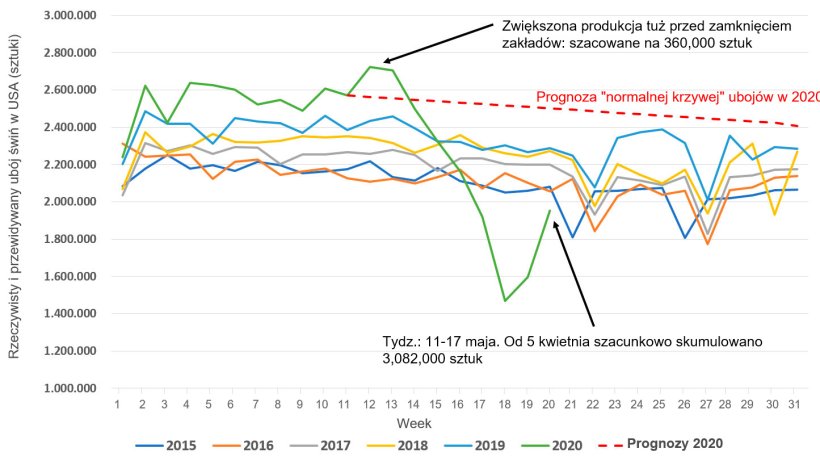Ryc 1. Rzeczywista i przewidywana tygodniowa skala uboju tucznik&oacute;w w USA, 2015-2020. DANE ŹR&Oacute;DŁOWE: USDA NASS Slaughter Survey and AMS LM_HG201
