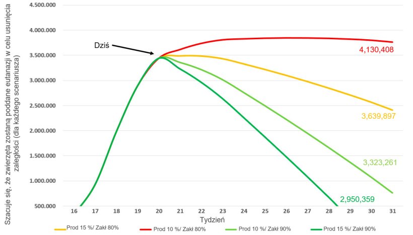 Ryc 2. &nbsp;Spłaszczanie krzywej eutanazji: Skumulowane zaległości w uboju w czterech scenariuszach do końca lipca. Dane źr&oacute;dłowe:&nbsp; USDA NASS Slaughter Survey and AMS LM_HG201
