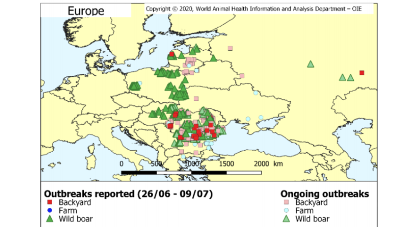 ASF outbreaks from June 26 - July 7, 2020. Source: OIE

