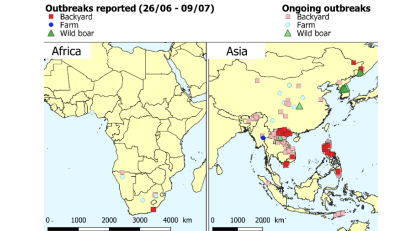 ASF outbreaks from June 26 - July 7. Source: OIE
