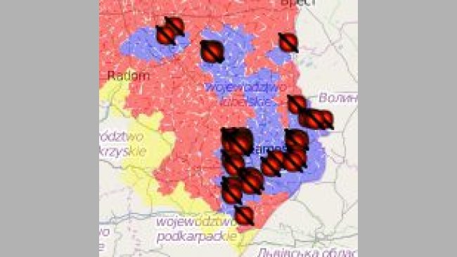 ASF Poland - domestic pig outbreaks - August 2020