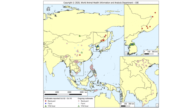 Notified ASF outbreaks within the period (higher intensity colors)&nbsp;and ongoing outbreaks (lighter intensity colors). Source: OIE.
