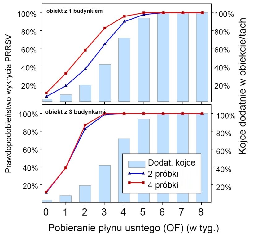 Wykres&nbsp;1. &nbsp;Wykrywanie PRRSV przy użyciu stałego pr&oacute;bobrania przestrzennego.&nbsp;Prawdopodobieństwo wykrycia &ge; 1 pozytywnych pr&oacute;bek PRRSV jako funkcja liczby badanych płyn&oacute;w ustnych w obiekcie (2 lub 4) i liczby budynk&oacute;w&nbsp;(1 lub 3). Należy zauważyć, że prawdopodobieństwo wykrycia wzrasta geometrycznie wraz z liczbą pobranych pr&oacute;bek. Dane od:&nbsp;Rotolo i in., (2017). 
