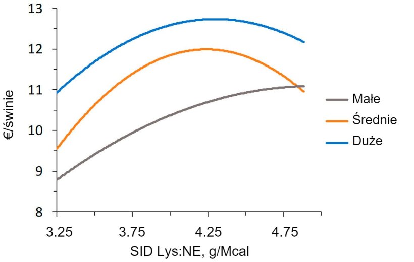 Rysunek 2. Modelowanie ekonomiczne (IOFFC) wpływu lizyny do energii u tucznik&oacute;w (28-63 kg LW) sklasyfikowanych według ich wagi&nbsp;wyjściowej (za Aymerich et al., 2020)
