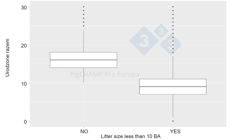 Ryc.&nbsp;4. Wykres pudełkowy przedstawiający liczbę wszystkich urodzonych prosiąt według wielkości miotu BA, 2018-2019.
