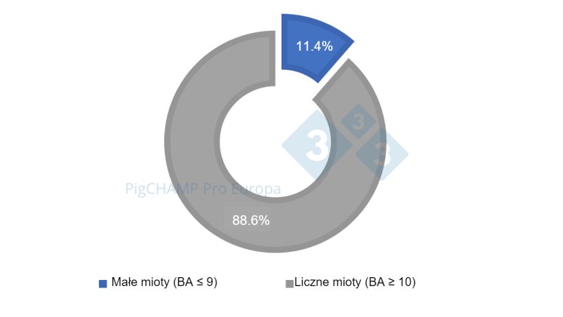 Ryc.1 1. Procentowy rozkład miot&oacute;w według liczebności, 2018-2019.
