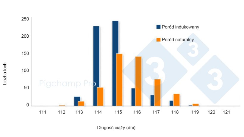 Wykres 3. Por&oacute;wnanie długości ciąży między indukowanym oproszeniem w 114 dniu a naturalnym oproszeniem na konkretnej farmie

