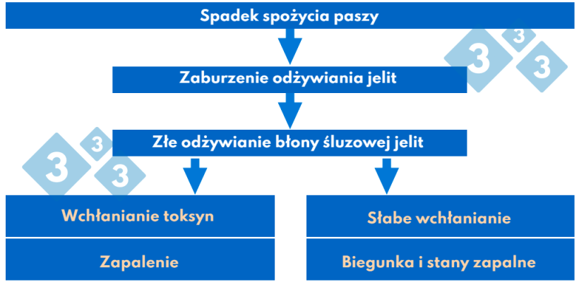 Wykres&nbsp;3. Patogeneza zespołu poodsadzeniowego
