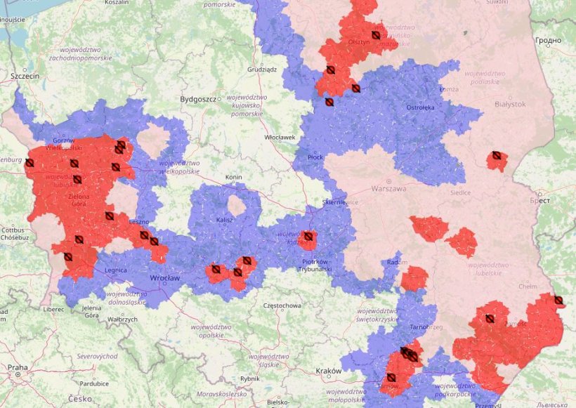 Ogniska ASF u świń w 2021 roku ( czerwone punkty). Źr&oacute;dło: GIW

