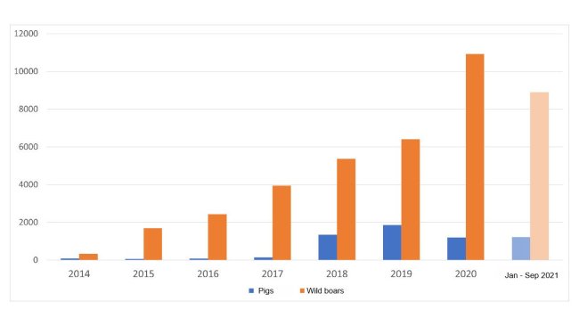 Występowanie ASF w UE