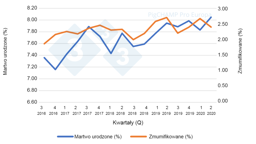 Wykres 3.&nbsp;Odsetek martwych urodzeń i mumii według kwartału krycia, 16 lipca - 20 czerwca.
