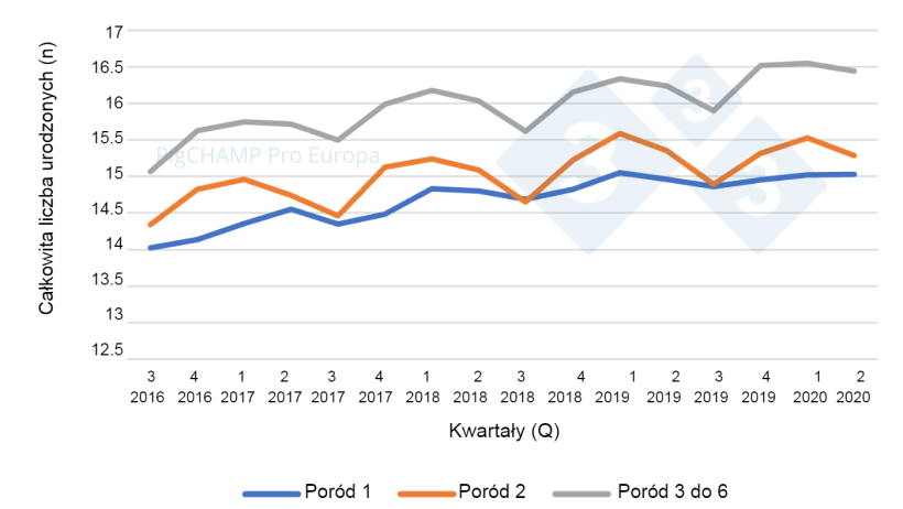 Wykres 5.&nbsp;Płodność według porod&oacute;w i kwartał&oacute;w krycia, 16 lipca - 20 czerwca.
