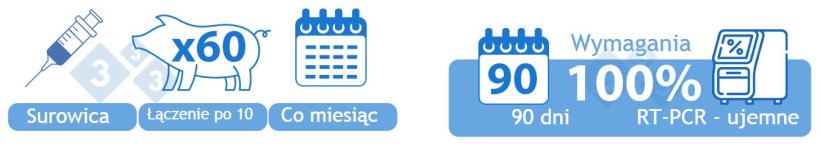 Kategoria II PDodatnia Stabilna. OPCJA 1) Surowica od 60 prosiąt, kt&oacute;re mają być odsadzone, badana w pulach po 10 sztuk miesięcznie. Aby przejść do tej kategorii, wszystkie partie w okresie 90 dni muszą być negatywne pod względem PRRSv RT-PCR.

