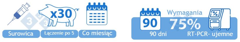 Kategoria I-B Pozytywna&nbsp;Niestabilna&nbsp;Niska częstość występowania. OPCJA 1) Surowica od 30 prosiąt, kt&oacute;re mają być odsadzone, badana&nbsp;miesięcznie w pulach po pięć sztuk. Aby przejść do tej kategorii, siedemdziesiąt pięć procent (trzy z czterech) partii w okresie 90 dni musi być negatywnych pod względem PRRSv RT-PCR.
