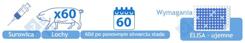 Kategoria IV Ujemna.&nbsp;Badanie surowicy od 60 dorosłych zwierząt hodowlanych metodą ELISA 60 dni po zakończeniu zamykania stada. Do uzyskania tej kategorii wymagany jest brak&nbsp;wynik&oacute;w dodatnich. Alternatywnie, kategoria IV rozpoczyna się rok po zakończeniu kategorii III, jeżeli nie zgłoszono żadnych pr&oacute;bek ELISA z wynikiem dodatnim. Stada ponownie zasiedlone zwierzętami naiwnymi zalicza się do tej kategorii po uzyskaniu negatywnych wynik&oacute;w test&oacute;w.
