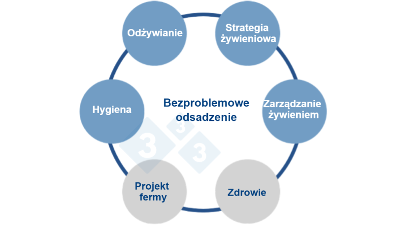 Rysunek 1.Wieloczynnikowe podejście do wyżywienia bezcynkowego. Źr&oacute;dło: Vilomix.
