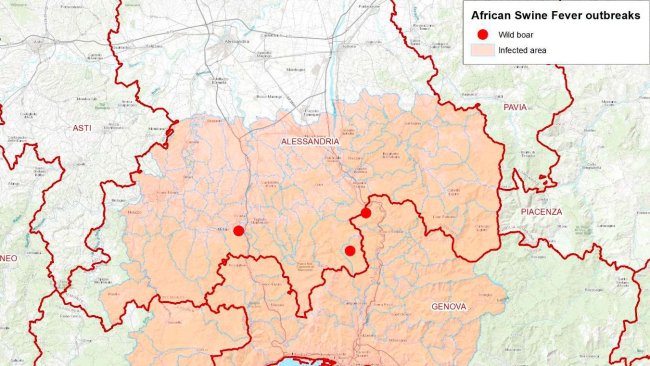 ASF we Włoszech.
