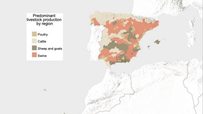 Dominujący typ zwierząt gospodarskich w Hiszpanii (według jednostek przeliczeniowych pogłowia). Source: INE.