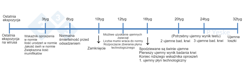 Wykres 1.&nbsp;Oś czasu dla stabilizacji po ekspozycji stada na wirusa. Przedstawiono niekt&oacute;re etapy, kt&oacute;re należy monitorować podczas eliminacji wirusa i jakie są prognozy. Zdajemy sobie sprawę z tego, że każde stado będzie w nieco innej sytuacji, co może wpłynąć&nbsp;na zmianę tego&nbsp;harmonogramu, ale jest to punkt odniesienia, gdy stado rozpoczyna ten proces.
