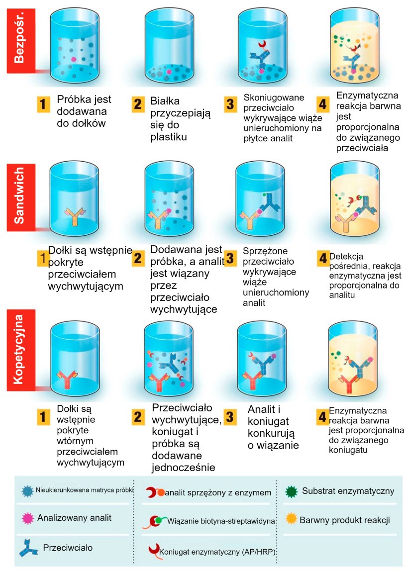 Ryc.&nbsp;1. Przegląd test&oacute;w diagnostycznych opartych na metodzie ELISA (enzyme-linked immunosorbent assay). Test ELISA może być przedstawiony w r&oacute;żnych formatach w oparciu o r&oacute;żnice w unieruchomieniu antygenu i znakowaniu przeciwciał. W bezpośrednim teście ELISA, antygen(y) wirusa związany(e) z plastikową fazą stałą (tym antygenem jest opłaszczony dołek płytki)&nbsp;jest wykrywany przez dodanie sprzężonego przeciwciała. W teście sandwich ELISA (kanapkowym), to przeciwciało wychwytujące jest przyłączone do plastikowej fazy stałej (dołka płytki). Antygen(y) w pr&oacute;bce wiąże się z przeciwciałem doczepionym do dołka płytki, a następnie jest wykrywany przez drugie przeciwciało znakowane enzymem. W kompetycyjnym teście ELISA, pr&oacute;bka z antygenem wirusa jest preinkubowana&nbsp;z przeciwciałem pierwotnym, a następnie dodawana&nbsp;do dołka plytki,&nbsp;pokrytego&nbsp;przeciwciałem wt&oacute;rnym, wraz z antygenem sprzężonym z enzymem, kt&oacute;ry konkuruje z antygenem z pr&oacute;bki o związanie z przeciwciałem pierwotnym, kt&oacute;ym opłaszczona jest płytka. Im więcej antygenu wirusa w pr&oacute;bce, tym mniej skoniugowanego antygenu zostanie związane w dołku płytki i tym niższy będzie sygnał. Źr&oacute;dło: Adaptowane z Ghaffari et al. 2020.

