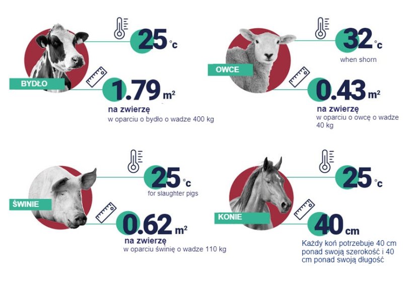 Recommended space and temperatures per animal. Source: EFSA.
