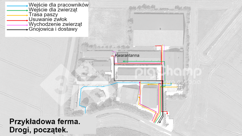 Rysunek 1. Drogi przemieszczania - stan początkowy
