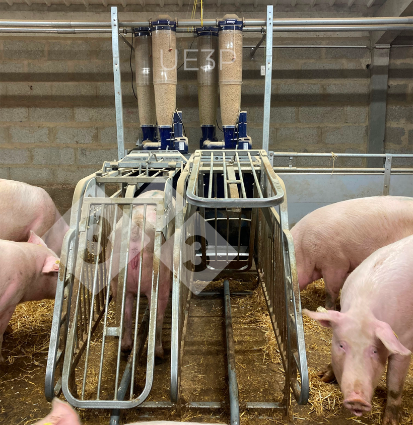 Photo 1. Automatic feeders in a gestation room at UE3P, able to mix two diets and to distribute a different ration for each gestating sow each day
