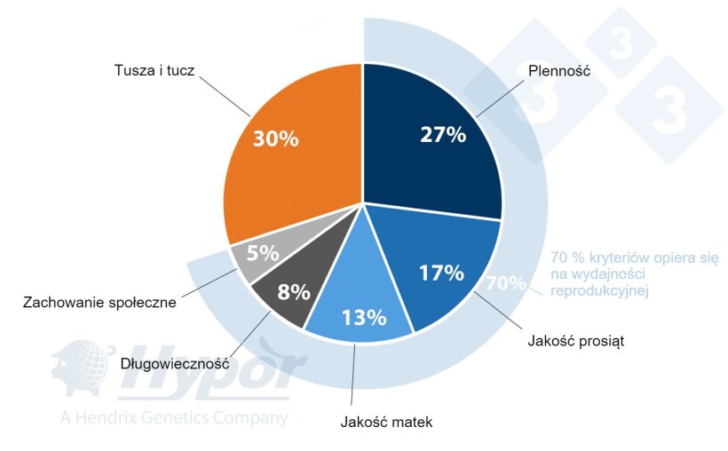 Kryteria selekcji dla linii Hypor Landrace i Hypor Large White
