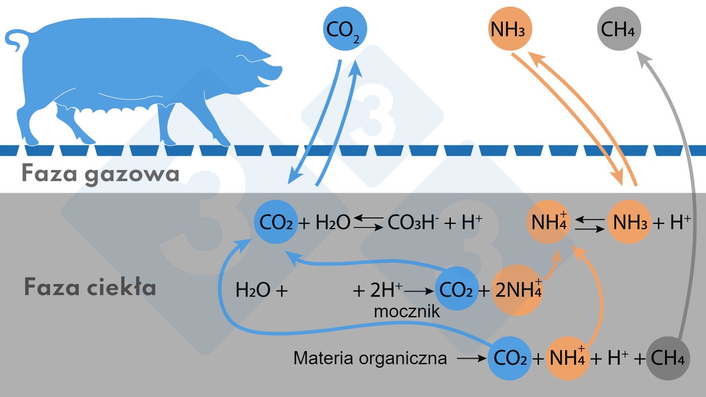 Ryc. 1.&nbsp;Uproszczony schemat reakcji wpływających na emisję NH3 i CH4.
