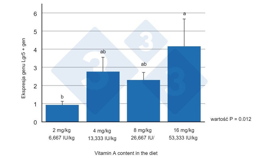 Ryc. 1. Ekspresja genu Lgr5+ w jelicie czczym odsadzonych prosiąt karmionych r&oacute;żnymi poziomami witaminy A. R&oacute;żne litery oznaczają statystycznie istotne r&oacute;żnice (p<0,05). Źr&oacute;dło: Wang et al. (2020)
