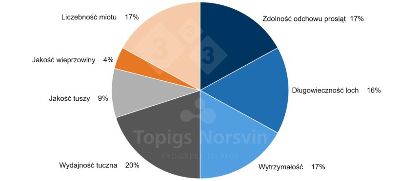 Wykres 1. Cel selekcji TN70 na rok 2023 obejmuje 41 r&oacute;żnych cech. Cel selekcji odzwierciedla wizję TN70 jako wysokowydajnej, hiperplennej lochy, kt&oacute;ra wyr&oacute;żnia się zwiększoną zdolnością do odchowu i odpornością.
