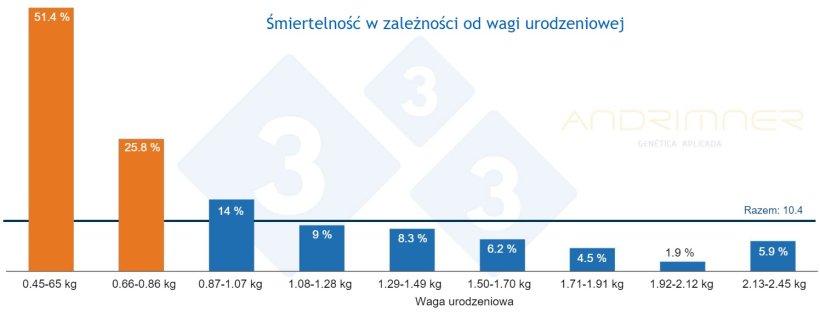 Wykres 3. Wsp&oacute;łczynnik śmiertelności w zależności od wagi urodzeniowej. Źr&oacute;dło: Javier Lorente. Gospodarstwo komercyjne, 3483 prosiąt zważonych indywidualnie w 2021 r.
