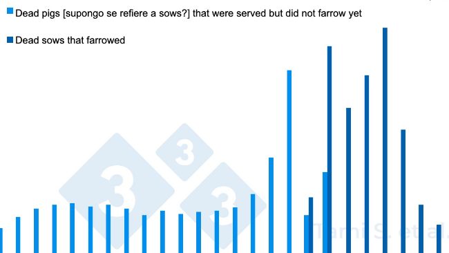 Wykres 1. Względne częstotliwości (%) występowania przypadk&oacute;w padnięcia loch, przed lub po oproszeniu, spośr&oacute;d 7 778 loch inseminowanych i 7 745 loch oproszonych. Źr&oacute;dło:&nbsp;Tami S. et al. 2017.
