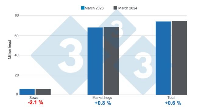 Pogłowie świń w USA na dzień 1 marca 2024 r., zmiany roczne. Przygotowane przez 333 Latin America na podstawie danych USDA - NASS. 