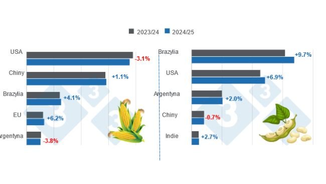 Prognoza zbiorów dla głównych światowych producentów kukurydzy i soi - sezon 2024/25 w porównaniu z sezonem 2023/24. Przygotowane przez 333 Latin America na podstawie danych FAS - USDA.