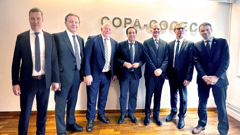 Chair and Vice-chairs
