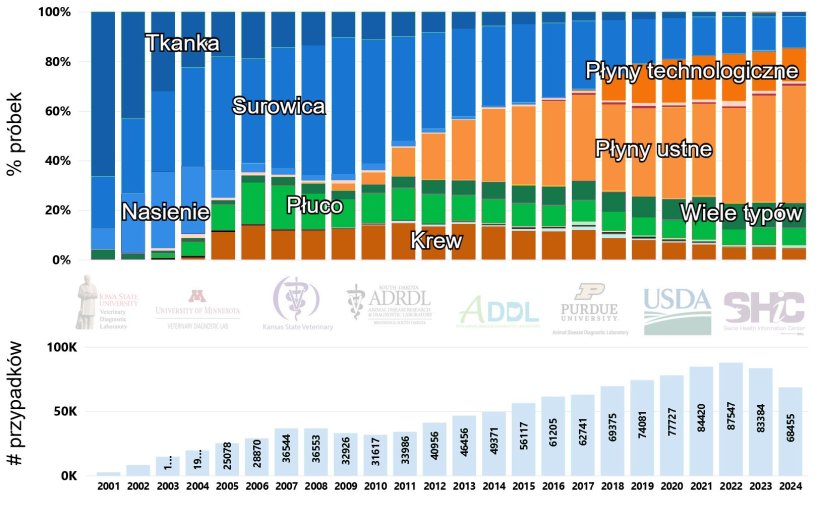 Rysunek 1. Liczba przypadk&oacute;w i podział według odsetka pr&oacute;bek badanych na obecność PRRSV metodą RT-PCR w czasie, w USA (2001-2024). Obraz zaczerpnięty ze strony internetowej Swine Disease Reporting System (SDRS, https://fieldepi.org/domestic-swine-disease-monitoring-program/)
