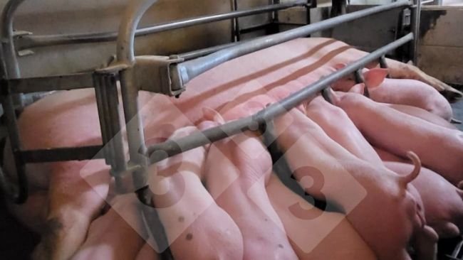 Zdjęcie 1. System żywienia precyzyjnego w porodówce (dzięki uprzejmości Nosia).