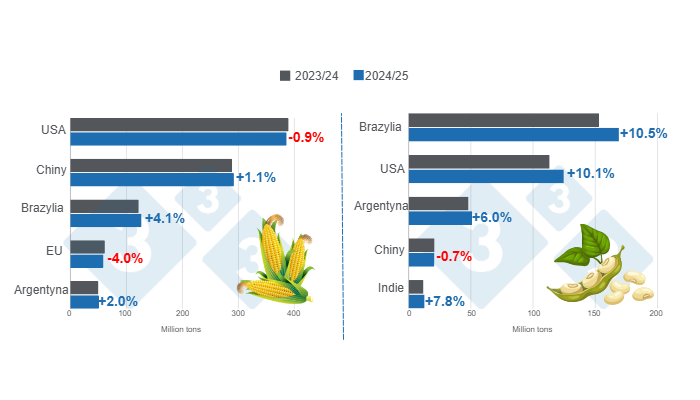 Prognozy zbior&oacute;w dla gł&oacute;wnych światowych producent&oacute;w kukurydzy i soi - sezon 2024/25 w por&oacute;wnaniu z sezonem 2023/24 - ostatnia aktualizacja: 11 października 2024 r. Przygotowane przez 333 Latin America na podstawie danych FAS - USDA.
