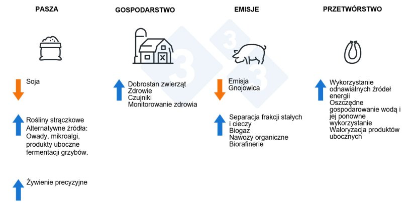 Jak uczynić przemysł trzody chlewnej bardziej zr&oacute;wnoważonym?

