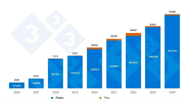 Roczny hiszpański import prosiąt i holenderskich świń. Źródło: 333 na podstawie danych RVO.