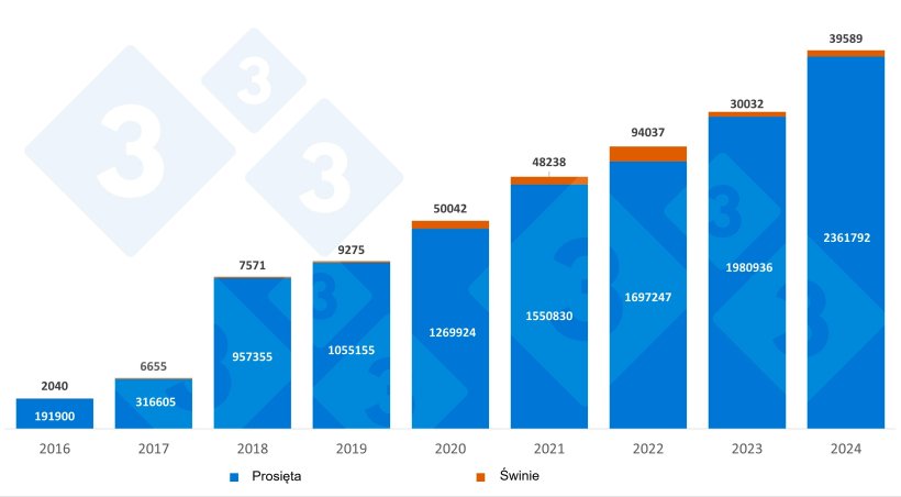 Roczny hiszpański import prosiąt i holenderskich świń. Źr&oacute;dło: 333 na podstawie danych RVO.
