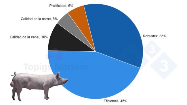 Wykres 3. Cele selekcji dla TN Tempo.