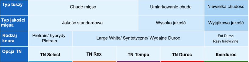Tabela 1. Segmentacja rynku hiszpańskiego i rodzaje knur&oacute;w.
