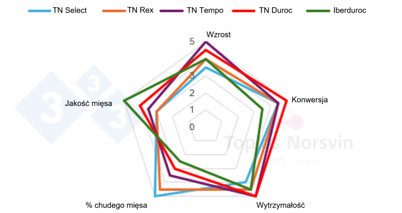 Wykres 1. Cechy terminalnych linii knur&oacute;w Topigs Norsvin.

